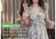 网红吃瓜老太太视频,揭秘网络红人的真实生活