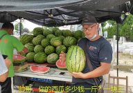 网红旅游吃瓜走红,揭秘网红打卡地的美食奥秘