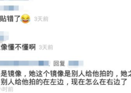 吃瓜网红王多鱼