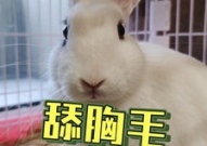 抖音吃瓜男网红道歉了吗,真相大白，网友热议